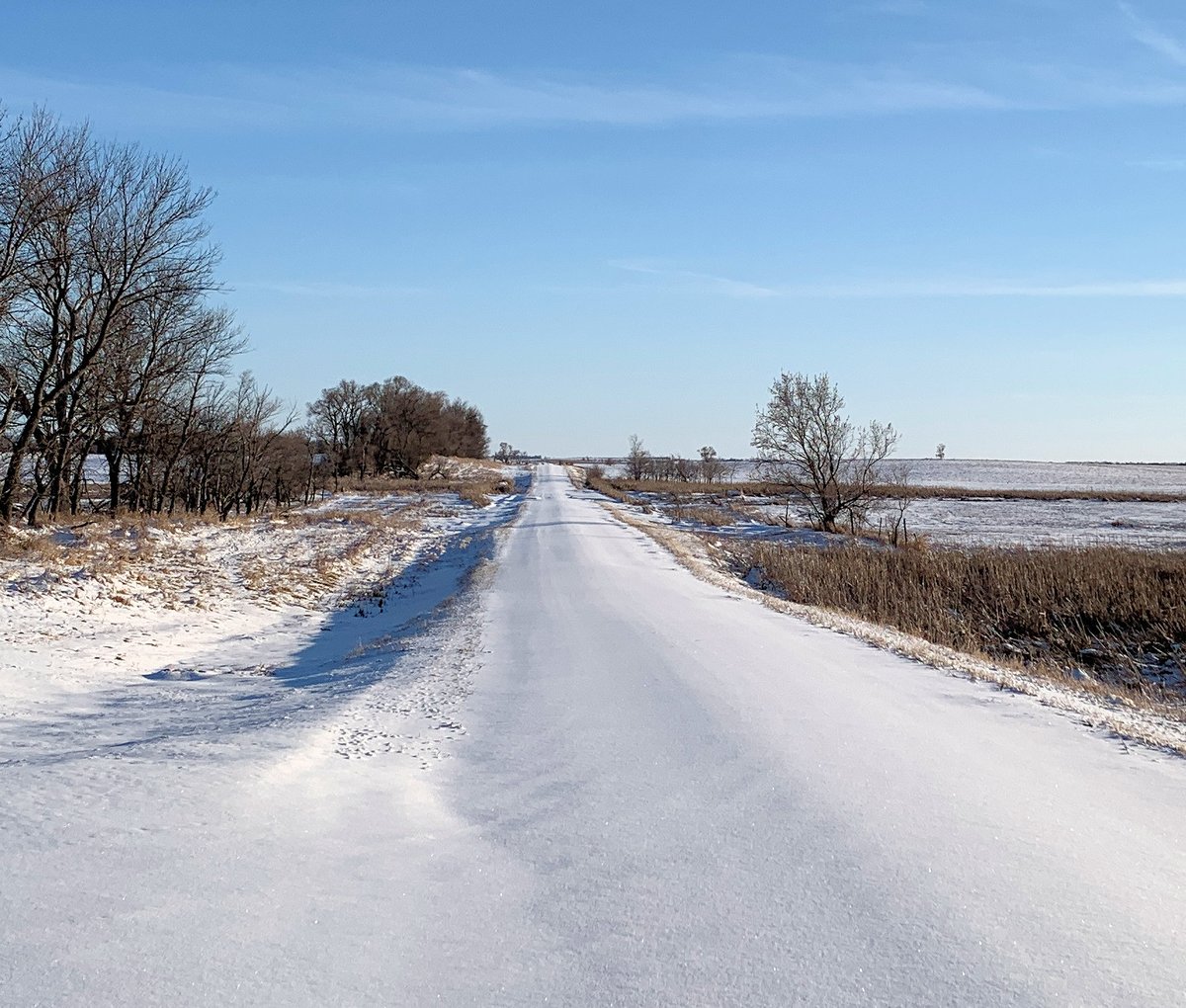 Island Codgers tweet media