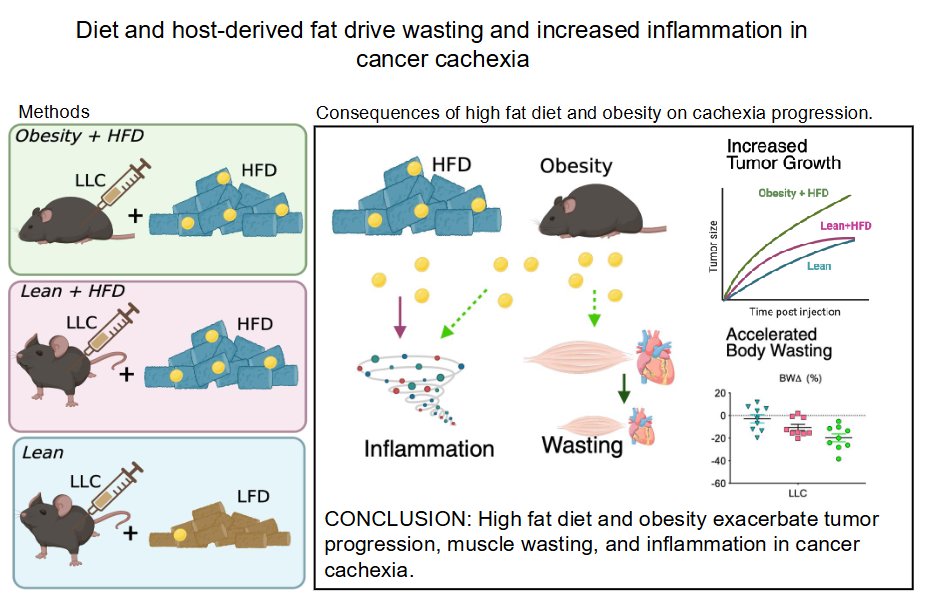 AJP-Cell Physiology tweet media