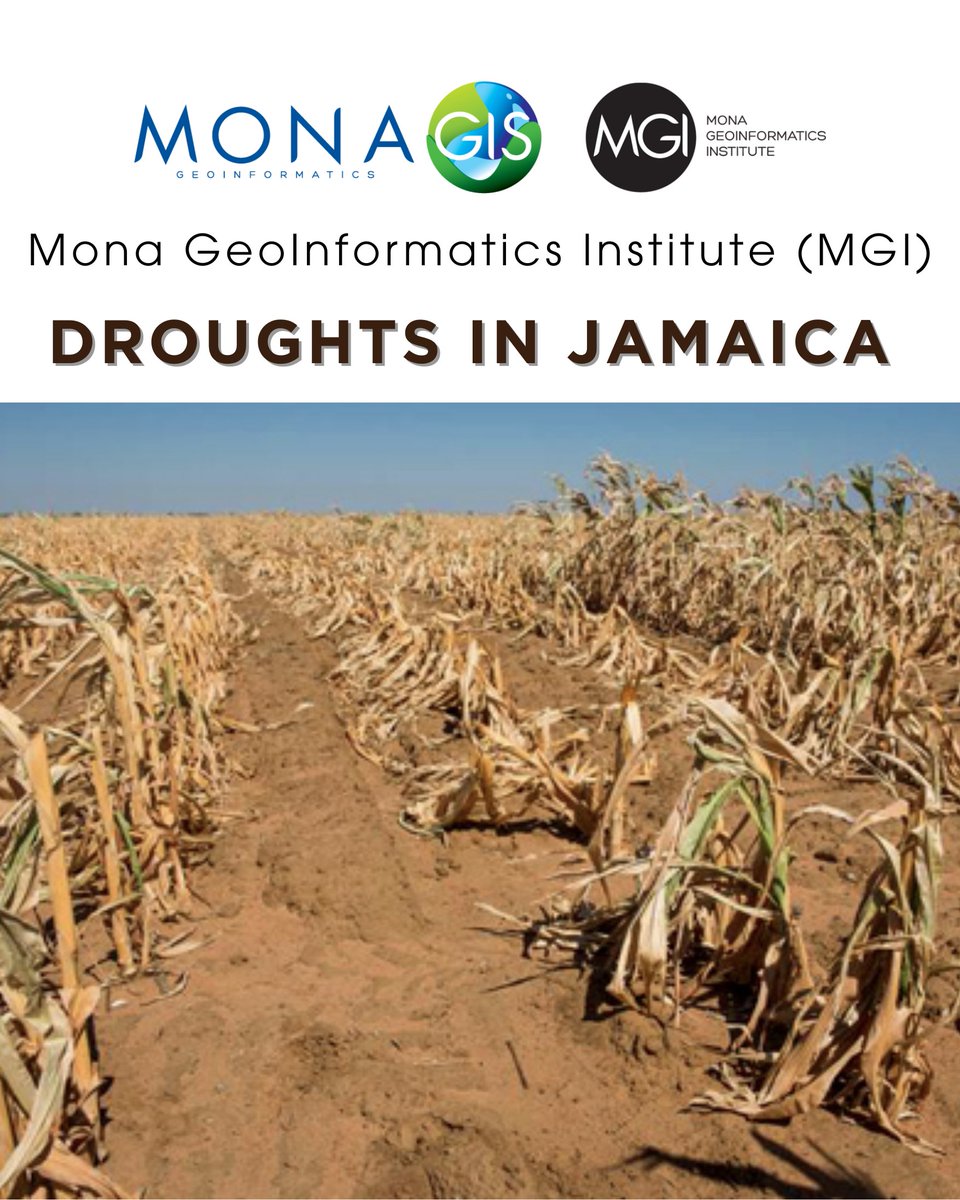 MGI - MonaGIS tweet media