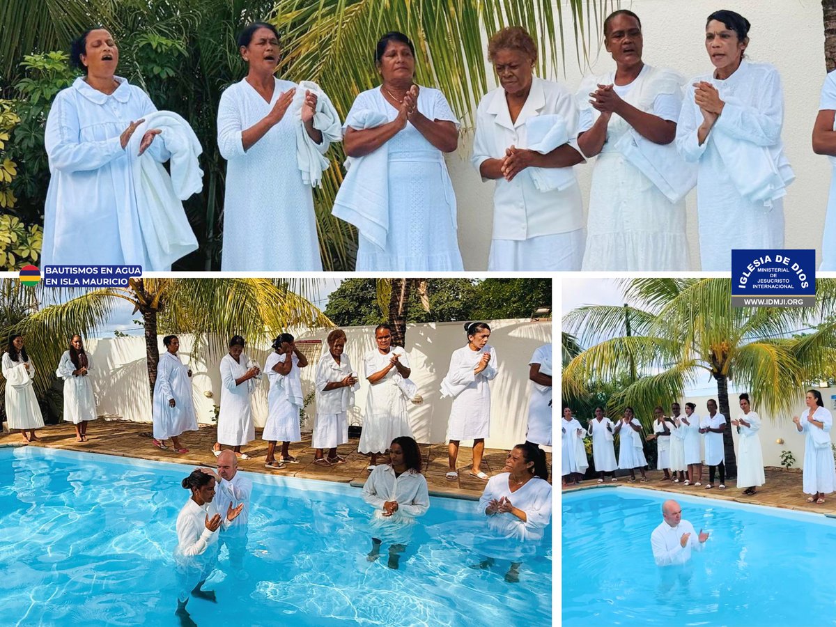 IDMJI.ORG tweet media