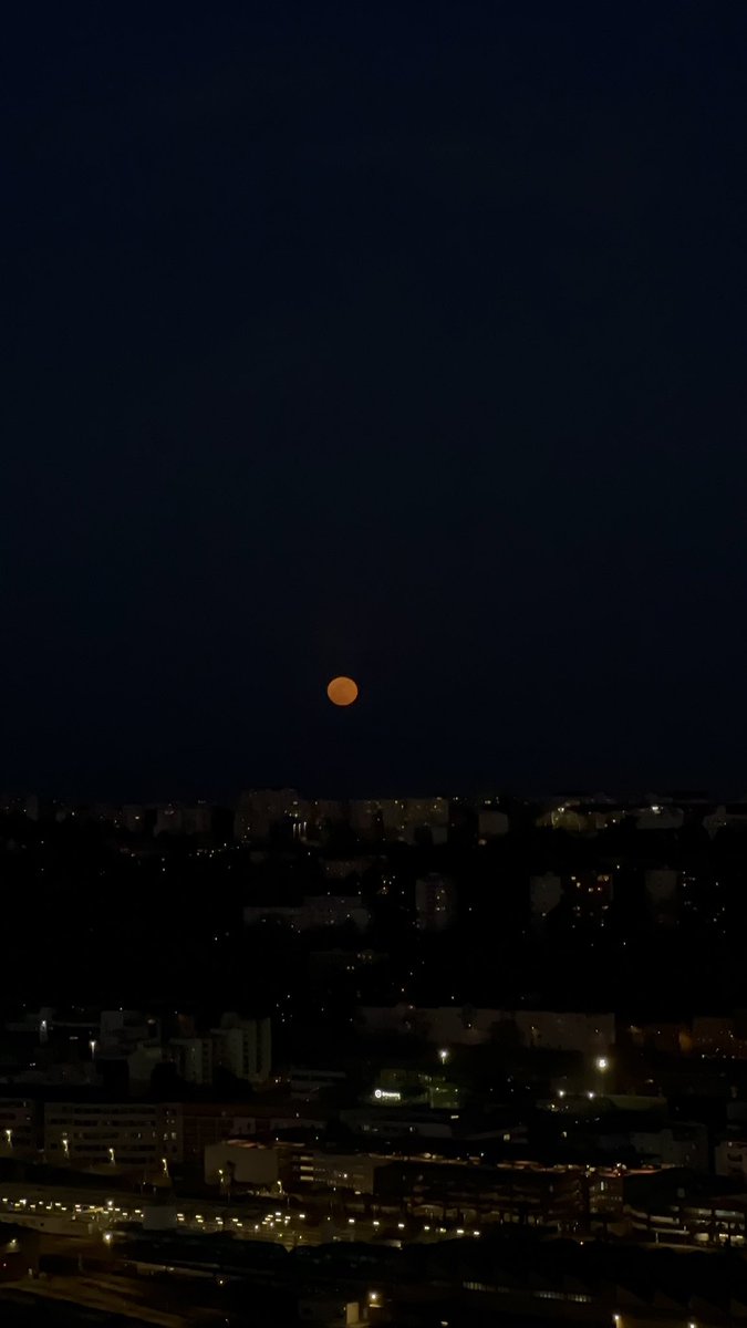 ꨄ︎ lle tweet media