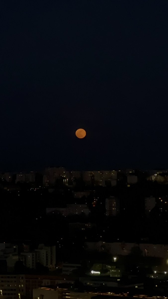 ꨄ︎ lle tweet media