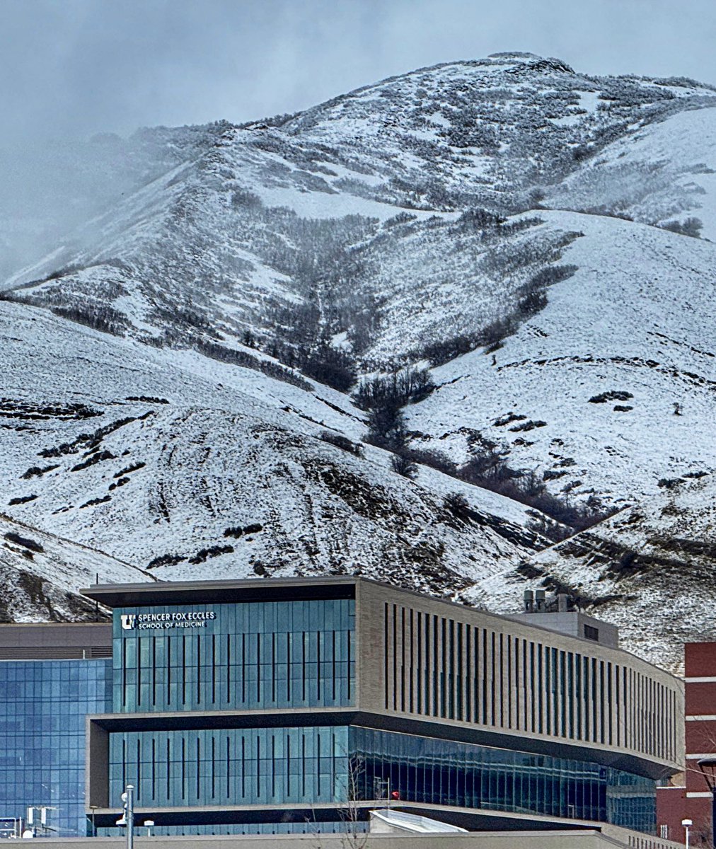 University of Utah tweet media