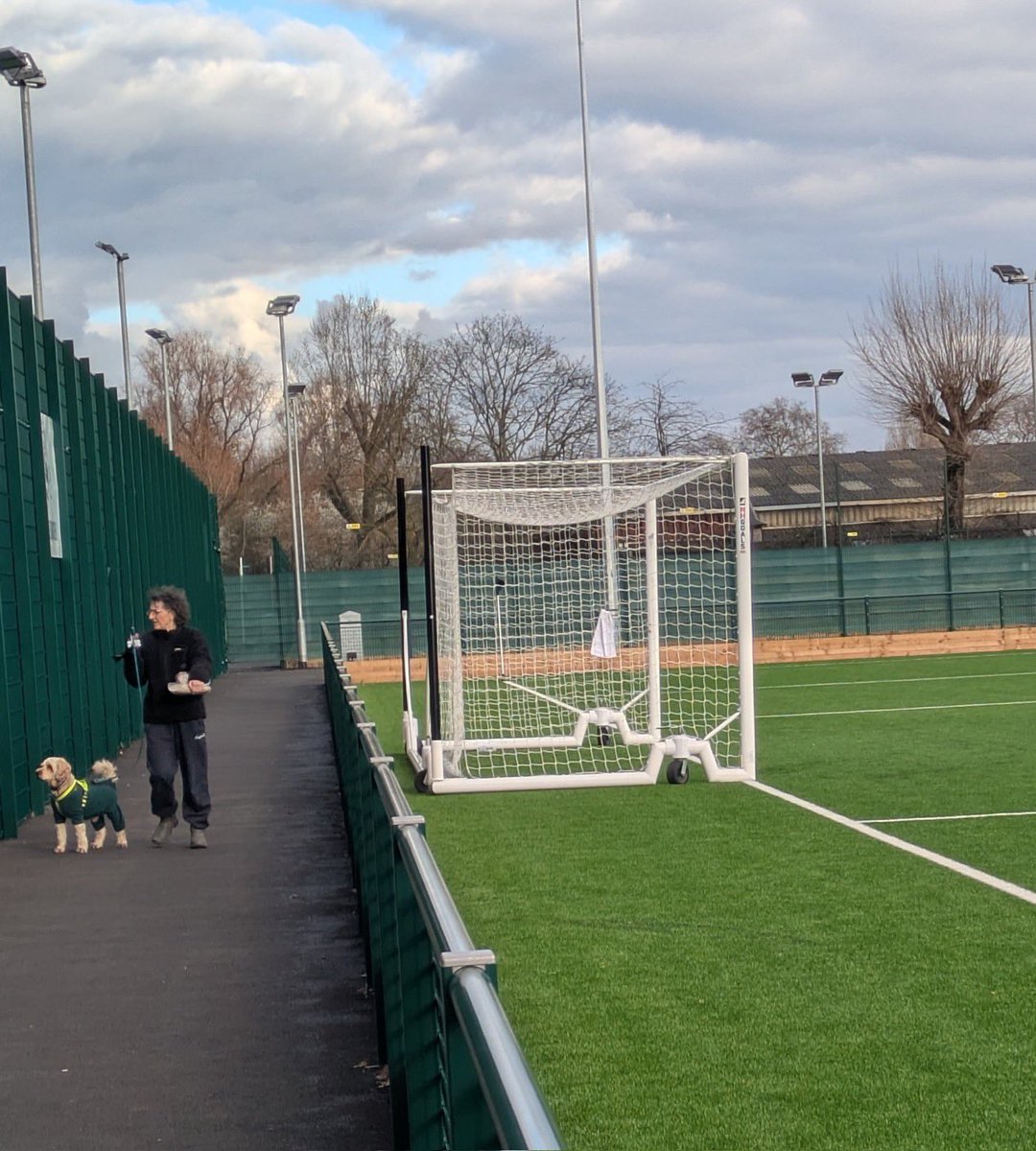 nonleaguedogs tweet media