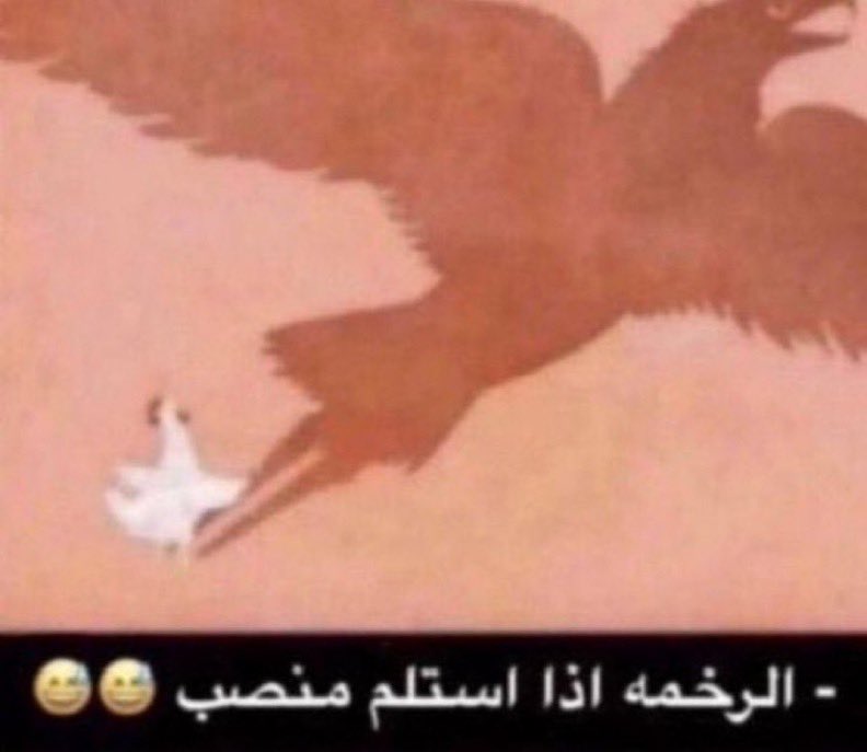 #حرق_كينقدوم