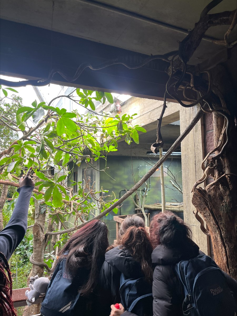 Pimlico Academy tweet media