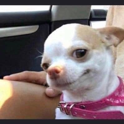 l’inconscient ☠️🫡🇹🇩 tweet media