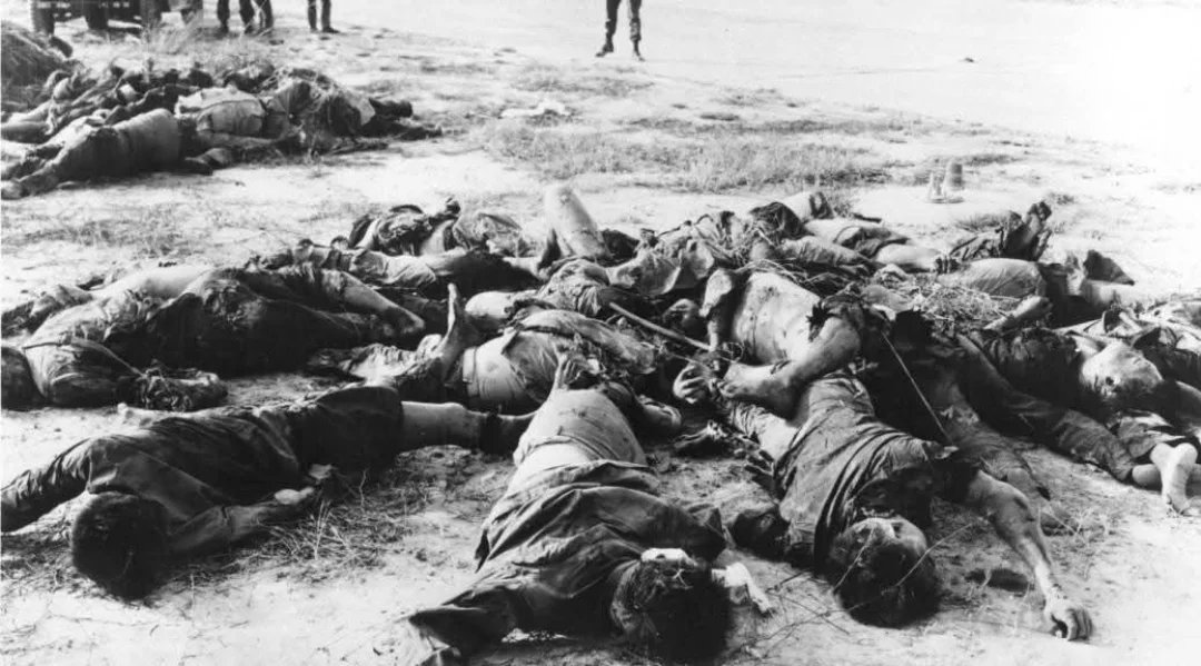 Shivank Bhatia🇮🇳 🇻🇳 उत्तर भड़ किवाड़ भाटी tweet media