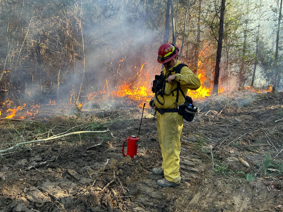 MS Forestry Commission tweet media