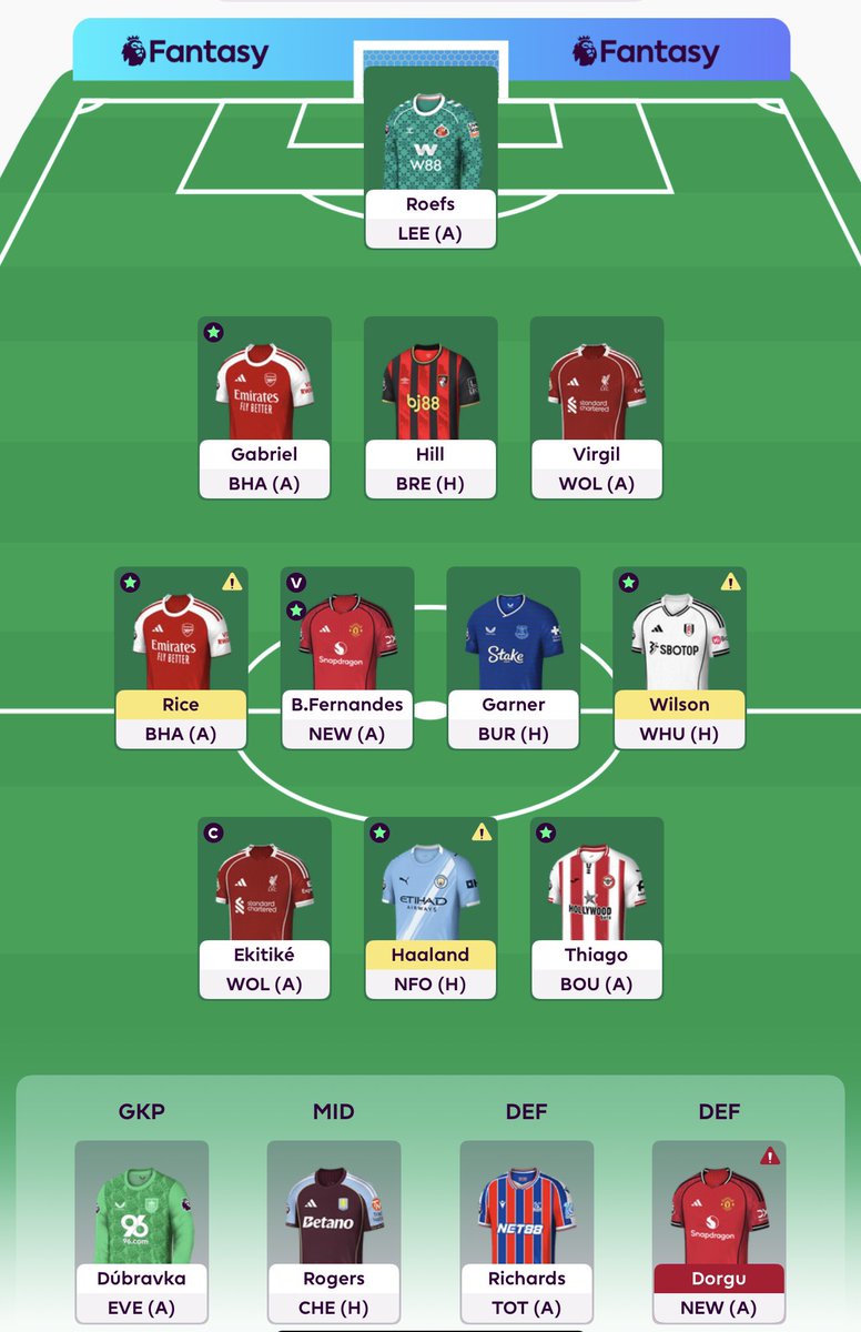 FPL NaLi tweet media