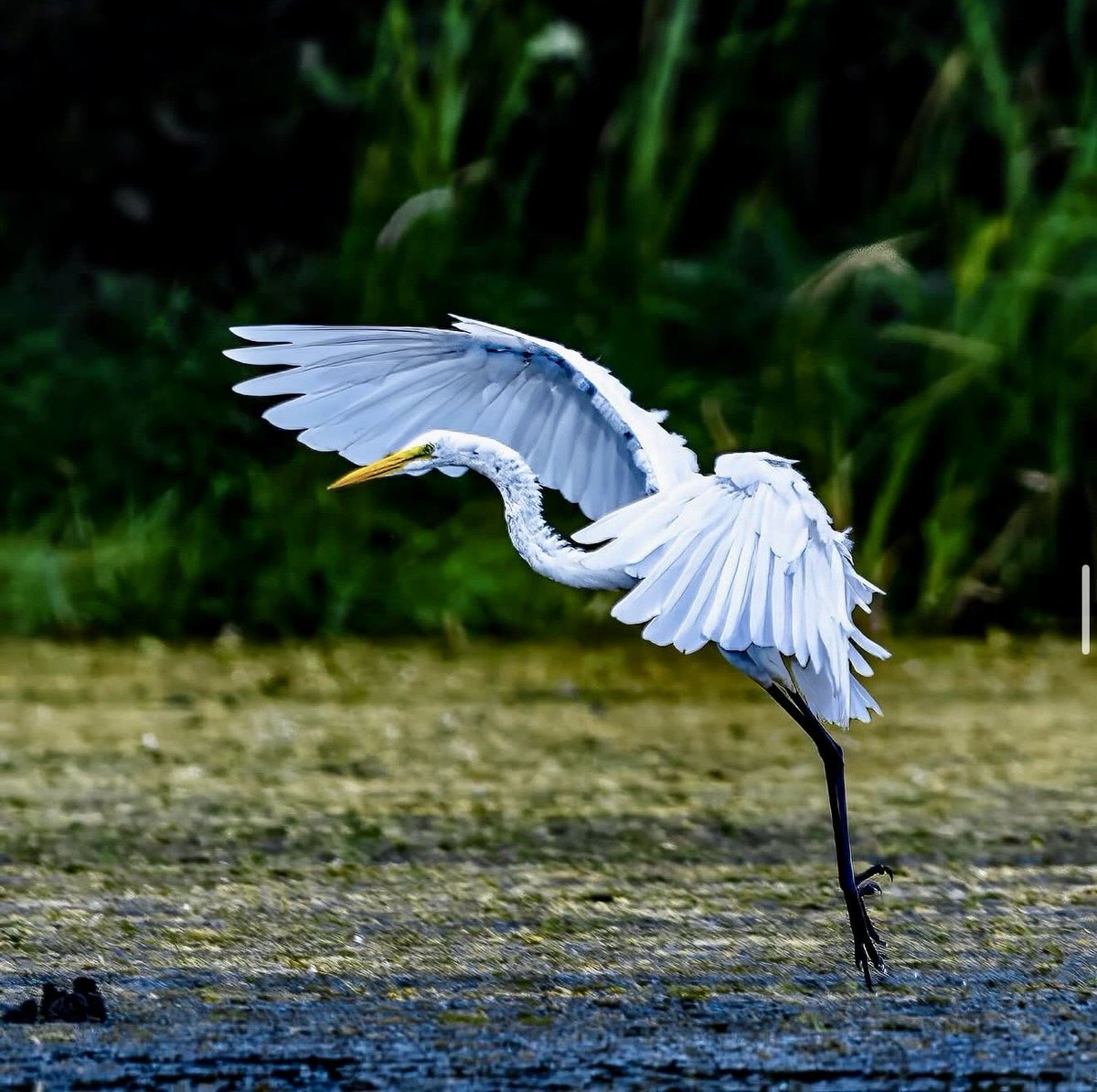 Storm Services tweet media