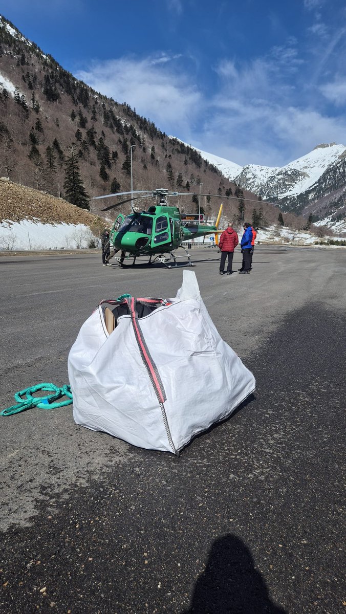 Guifré Porqueres II*II tweet media