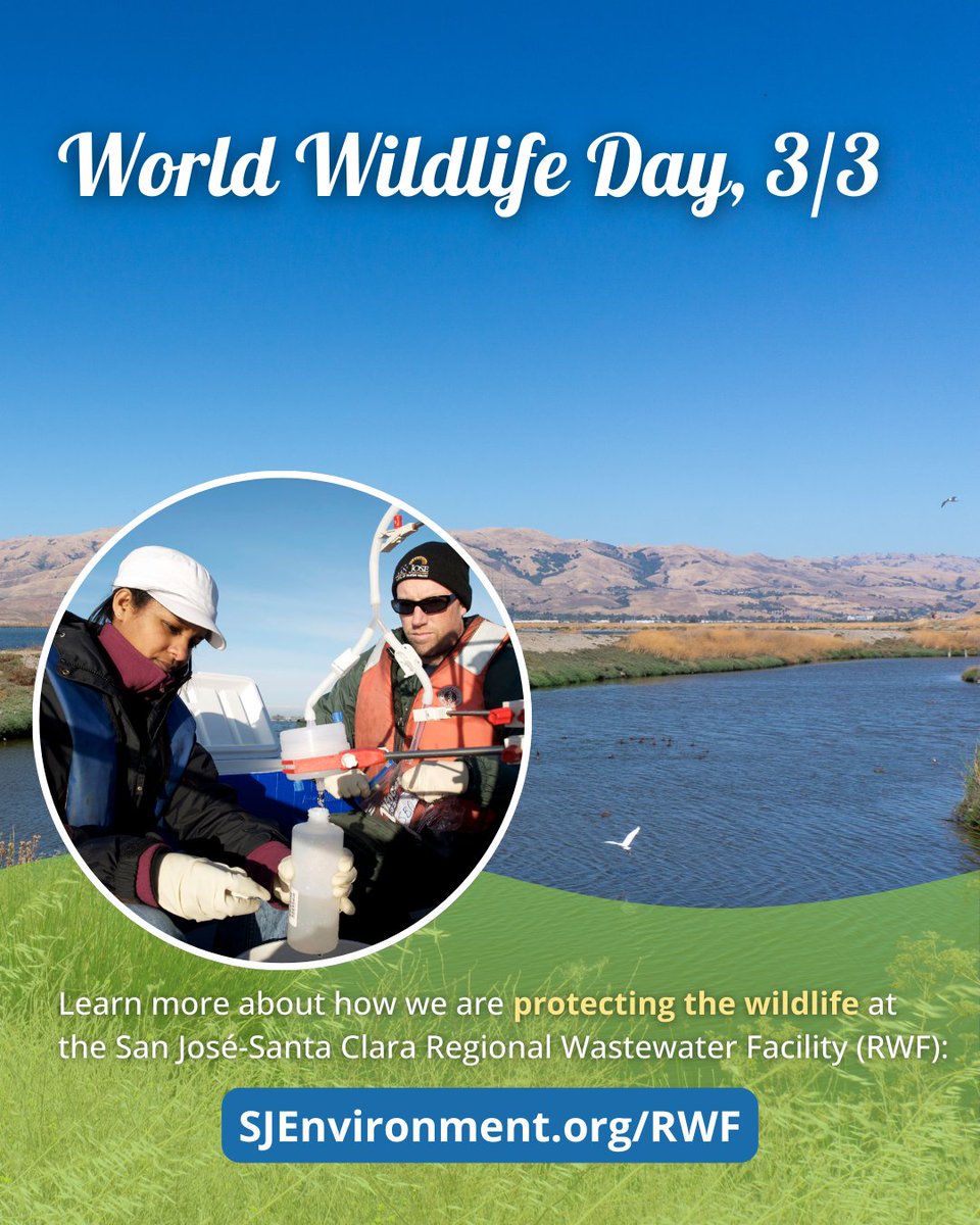 San José Environmental Services tweet media