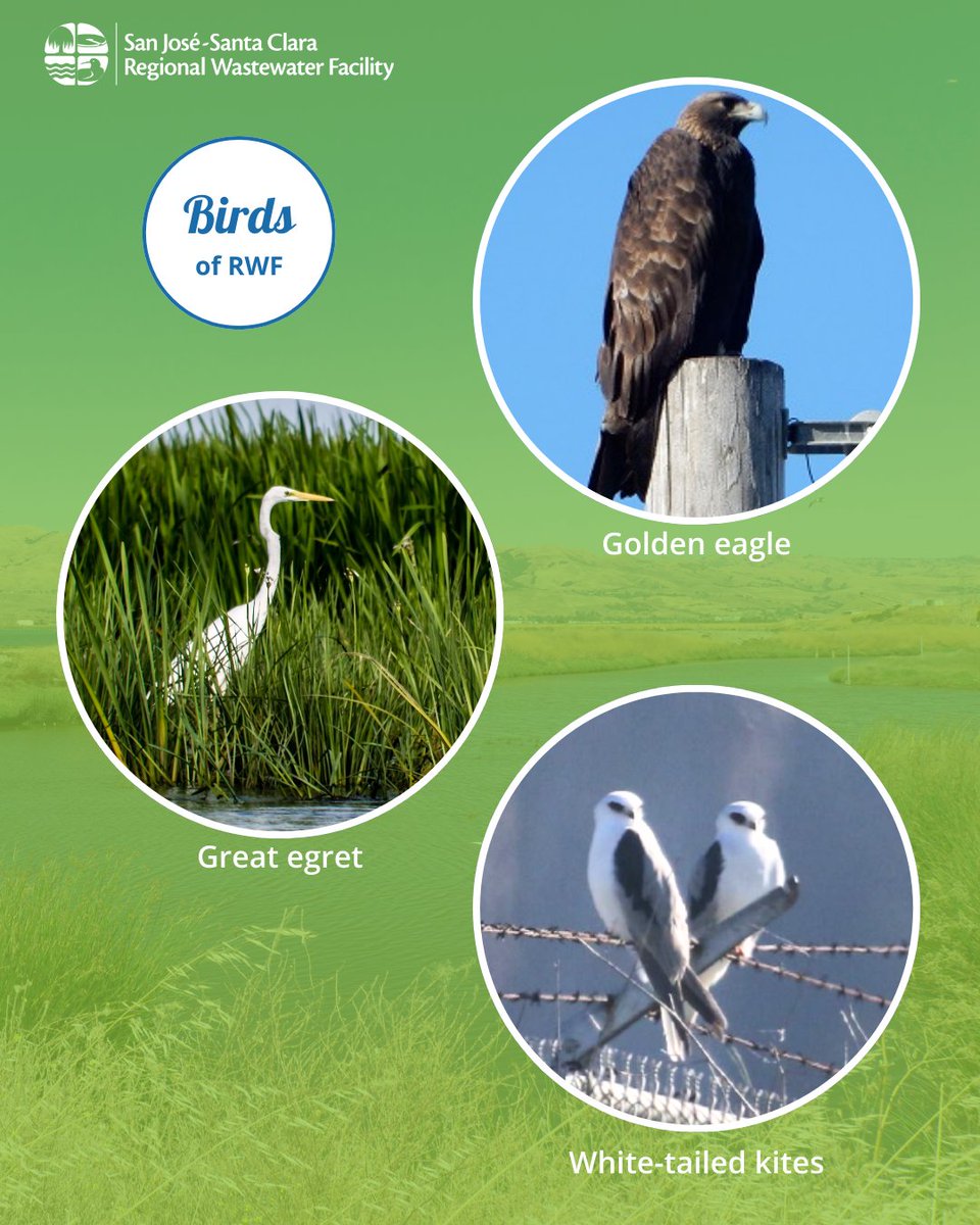 San José Environmental Services tweet media