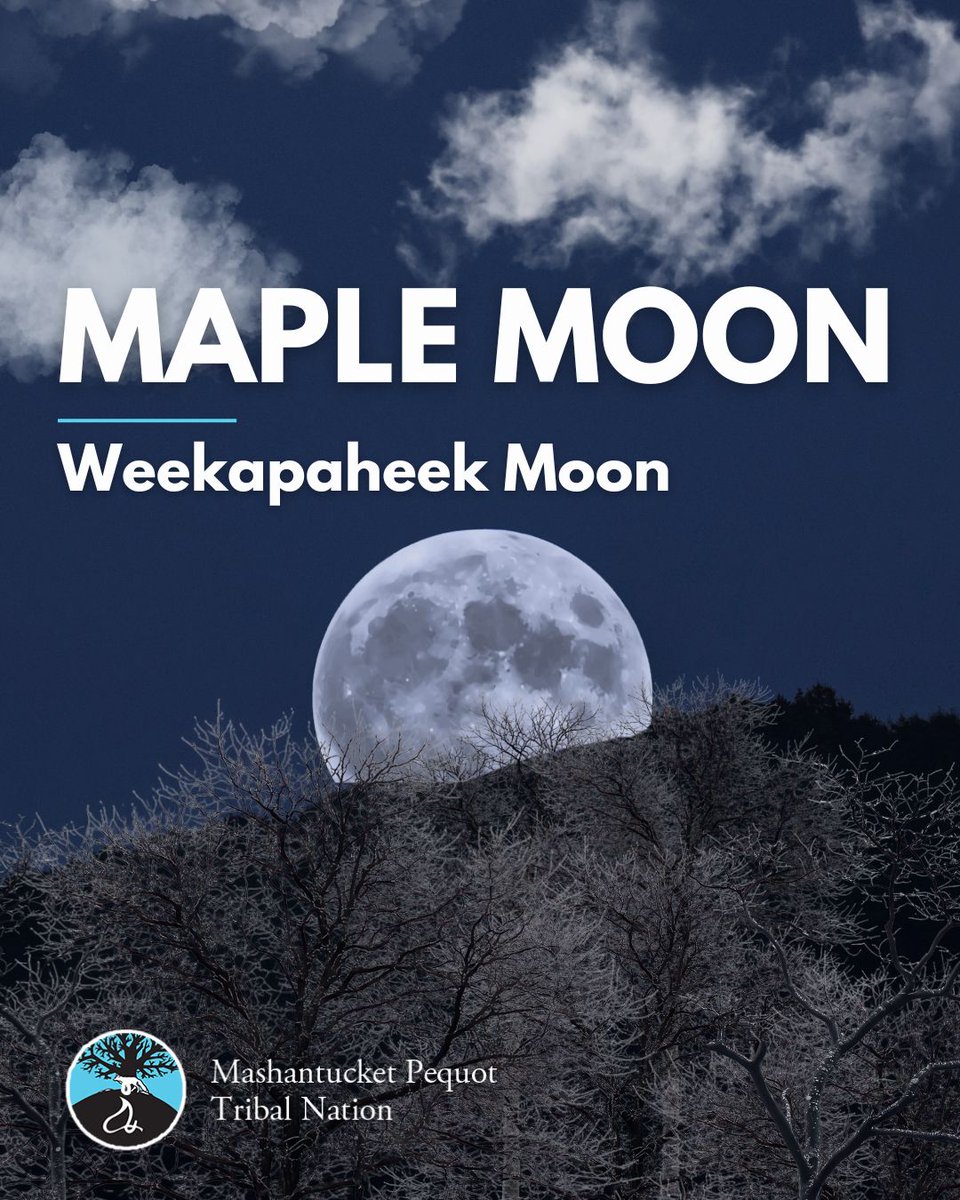 The Mashantucket Pequot Tribal Nation tweet media