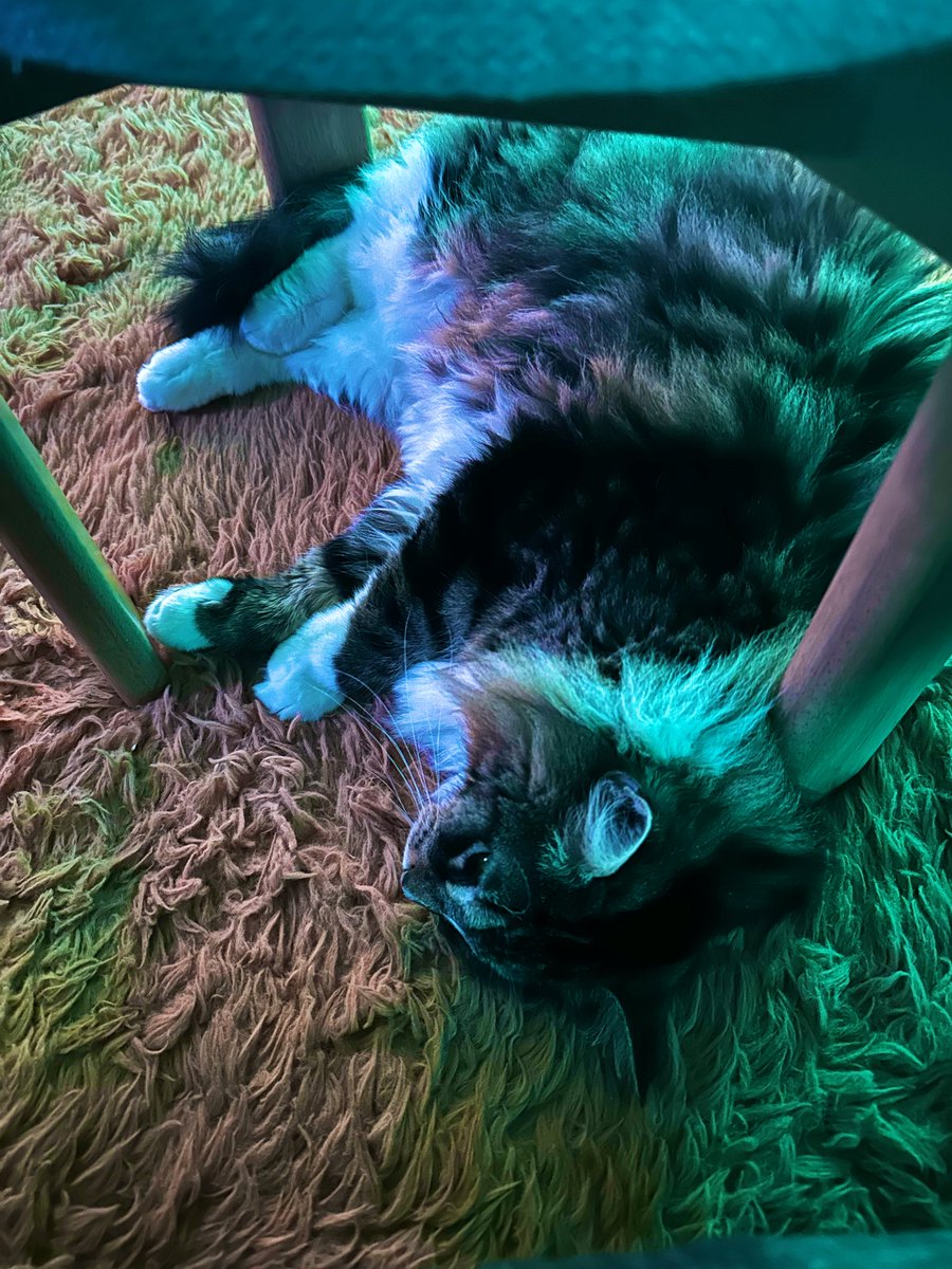 Steven Criss tweet media