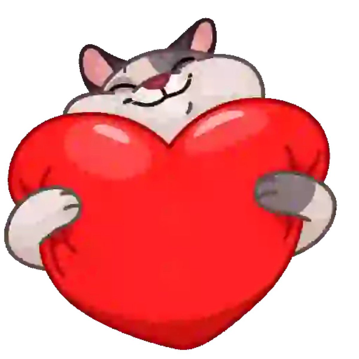 jamesvolpe007's tweet image. 