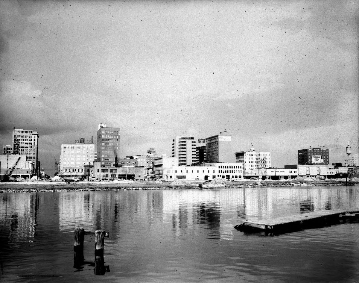 University of South Florida tweet media