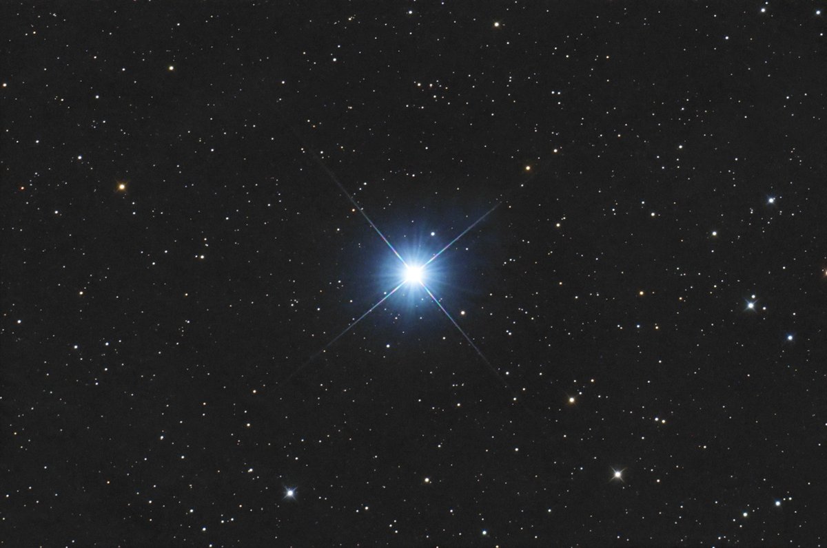 RobertBurnhamJr tweet media