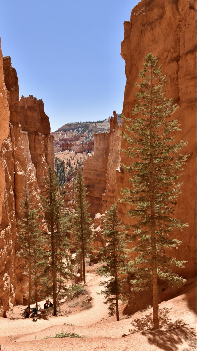 TheAmericanSouthwest🏜️ tweet media