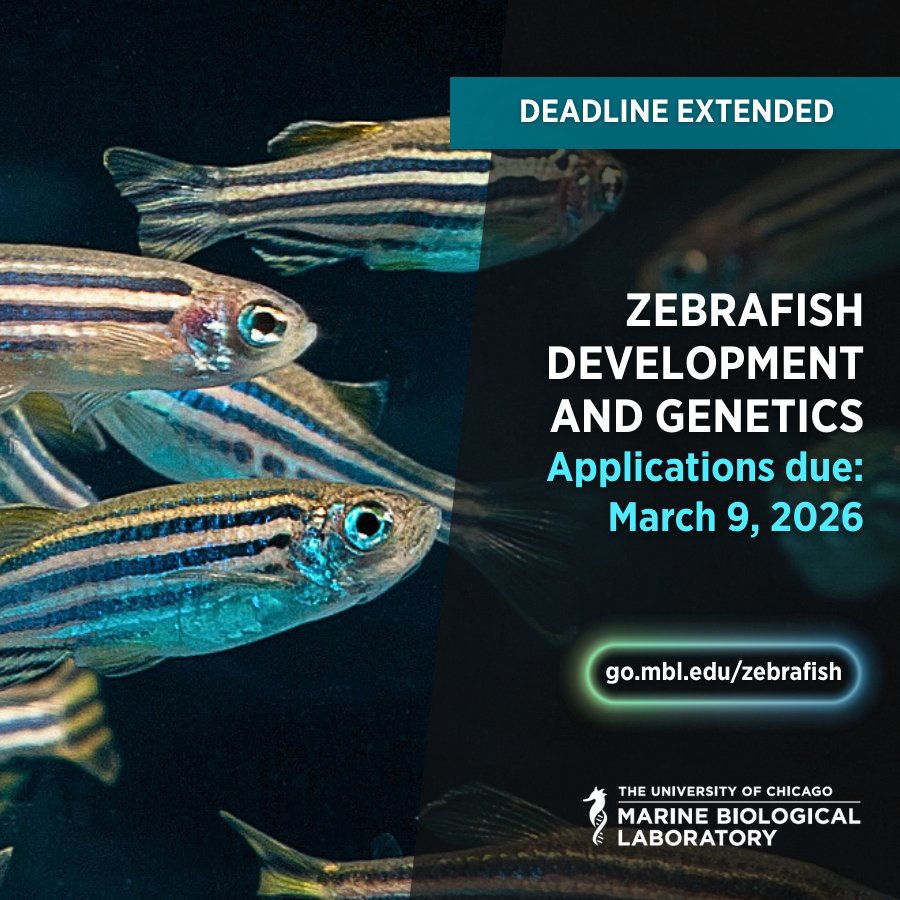 Marine Biological Laboratory (MBL) tweet media