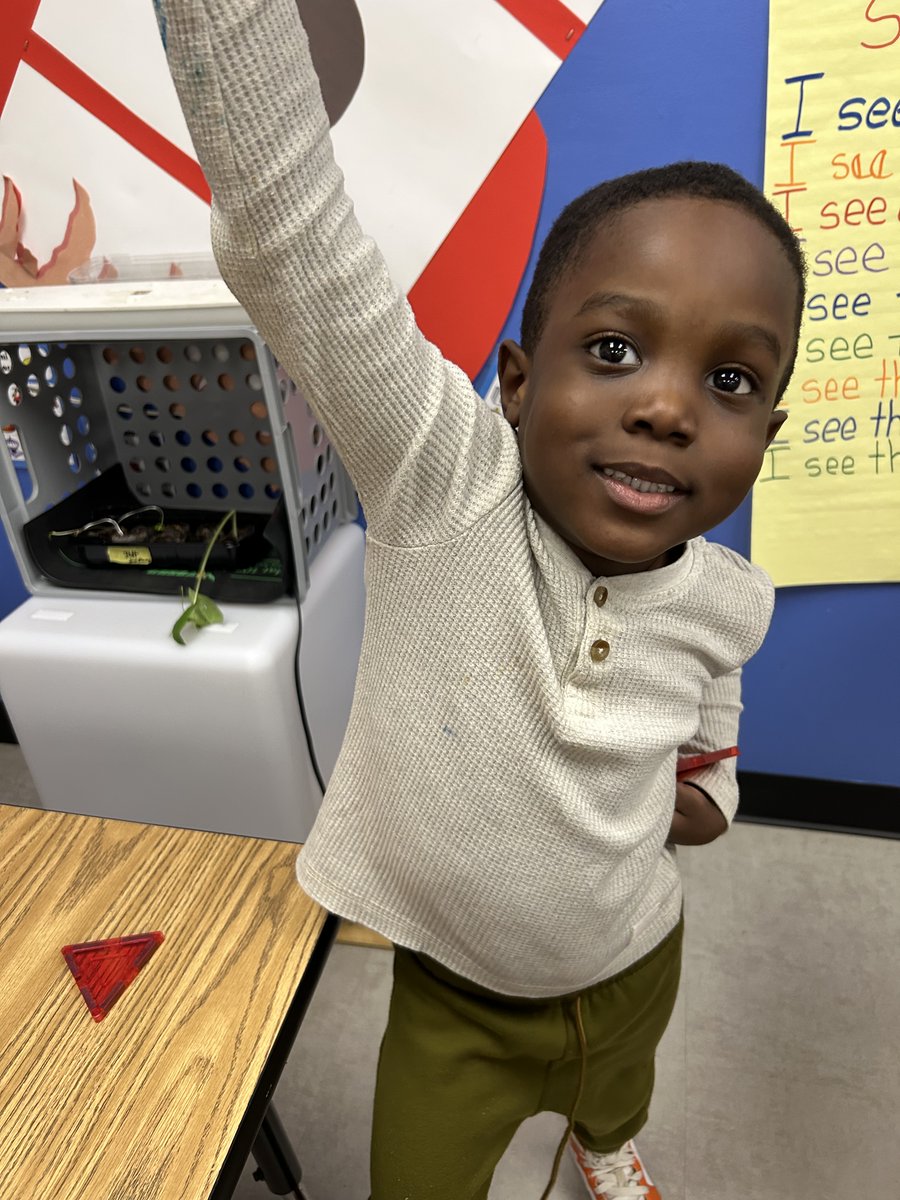 Hillside Pre-K tweet media