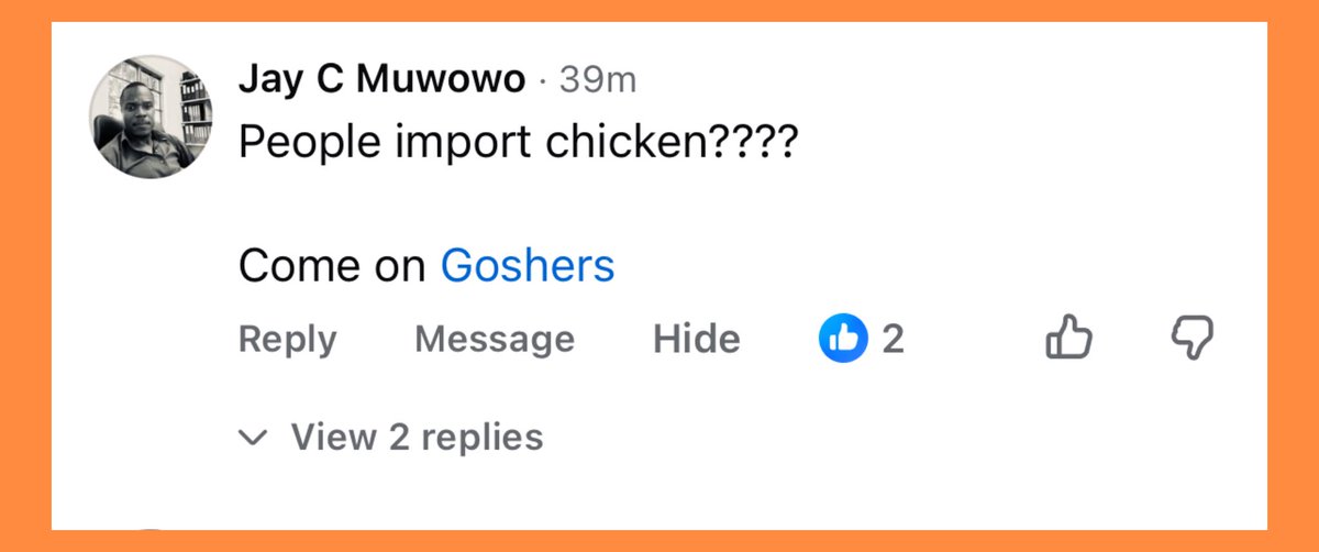 The Africa Xperience tweet media