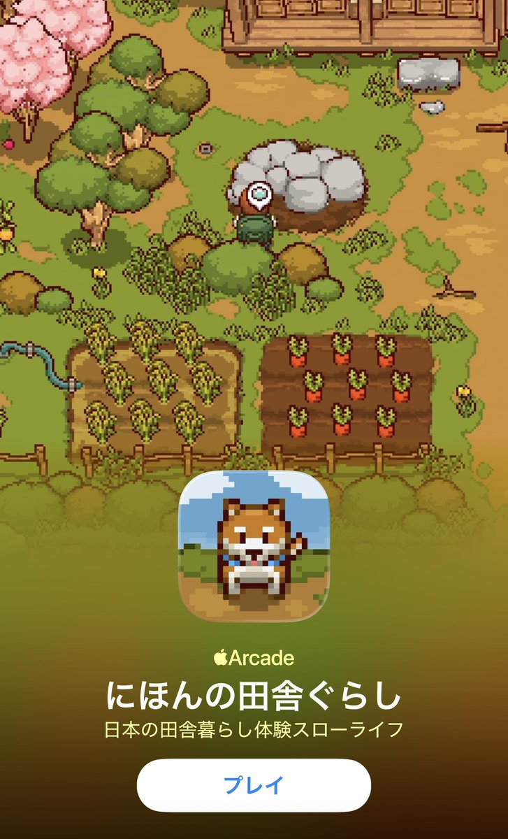 衿沢世衣子 tweet media