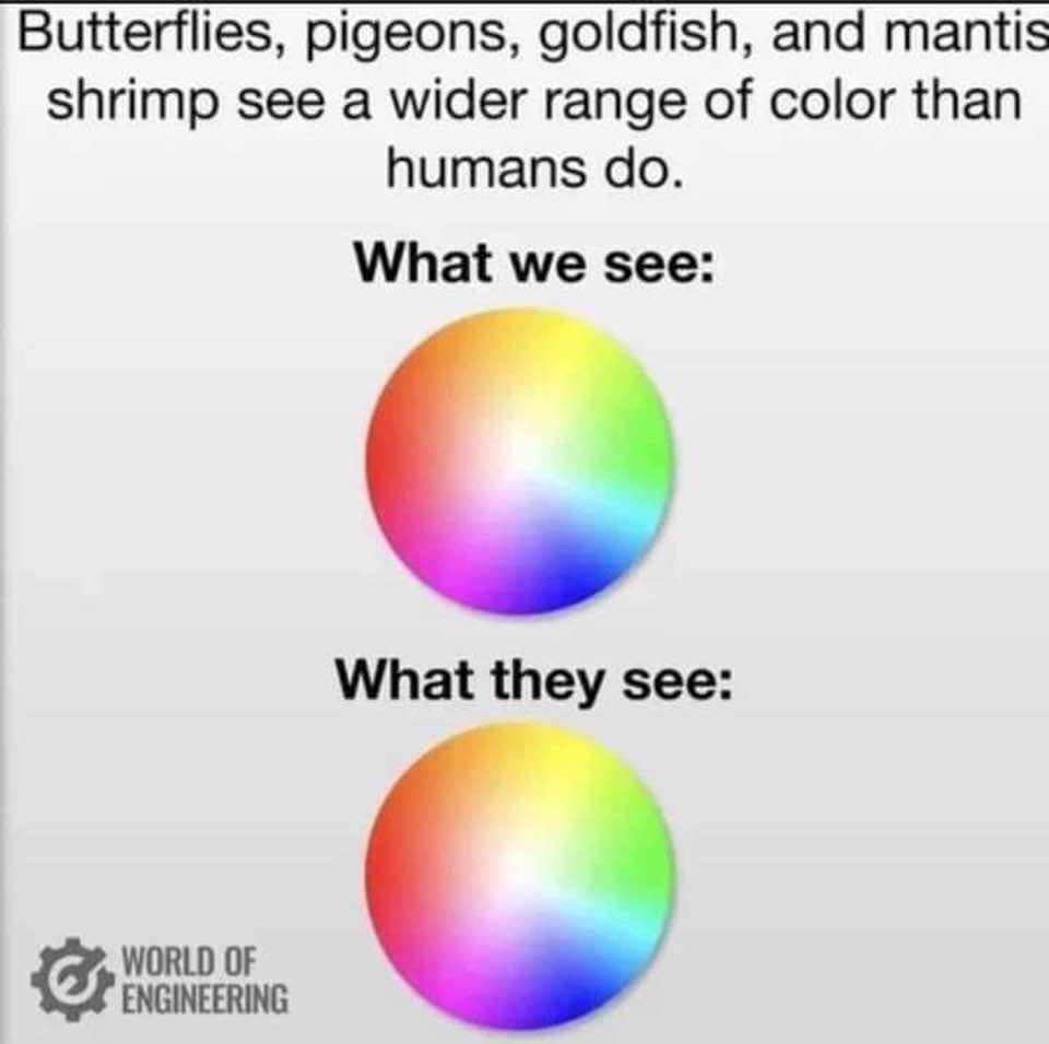 Bob Hostetler tweet media