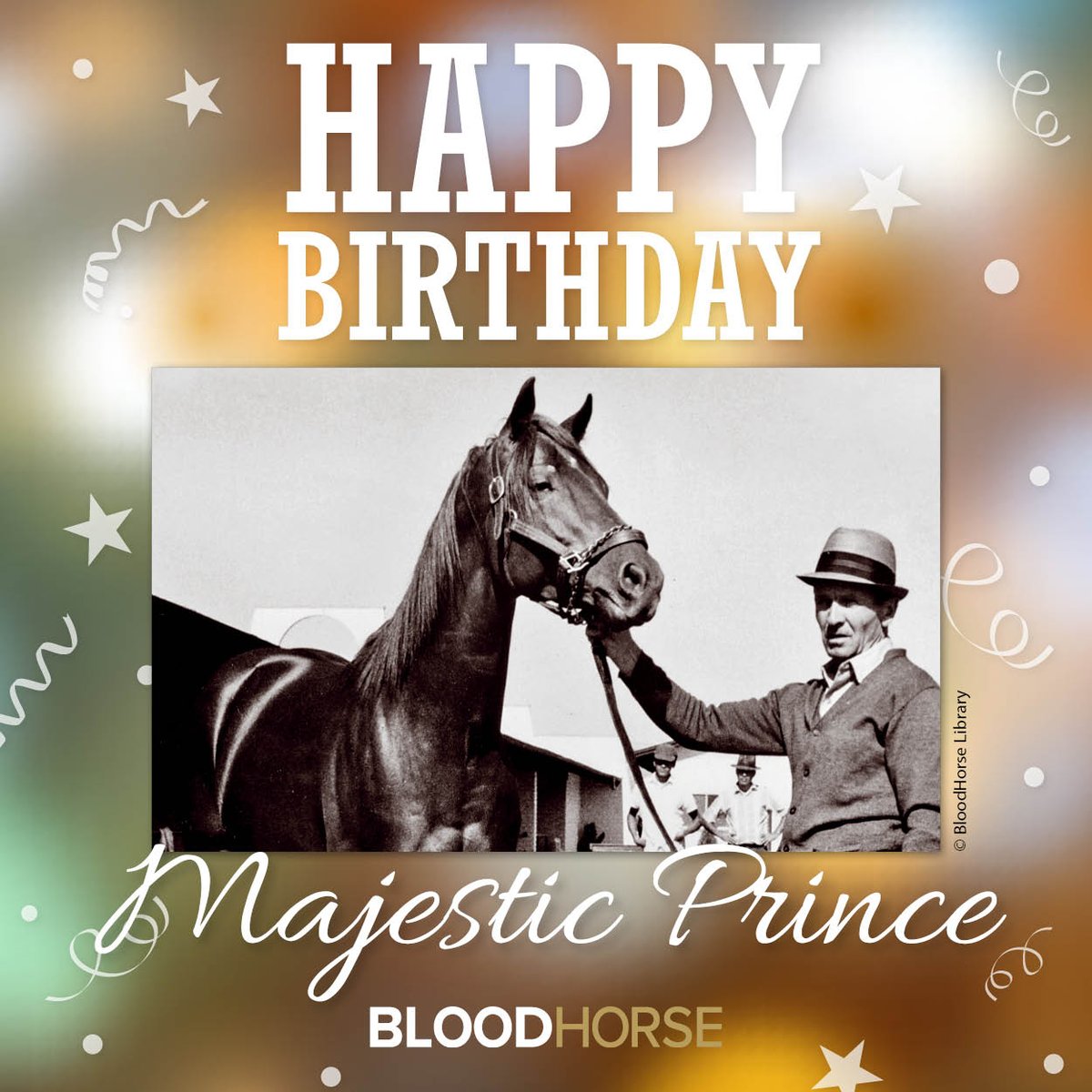 BloodHorse tweet media