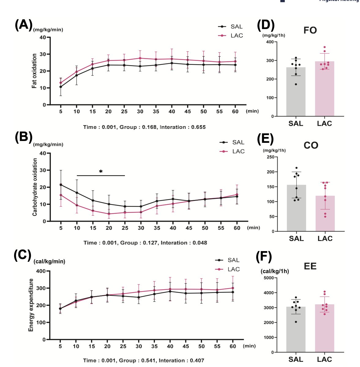 Aitor Viribay tweet media