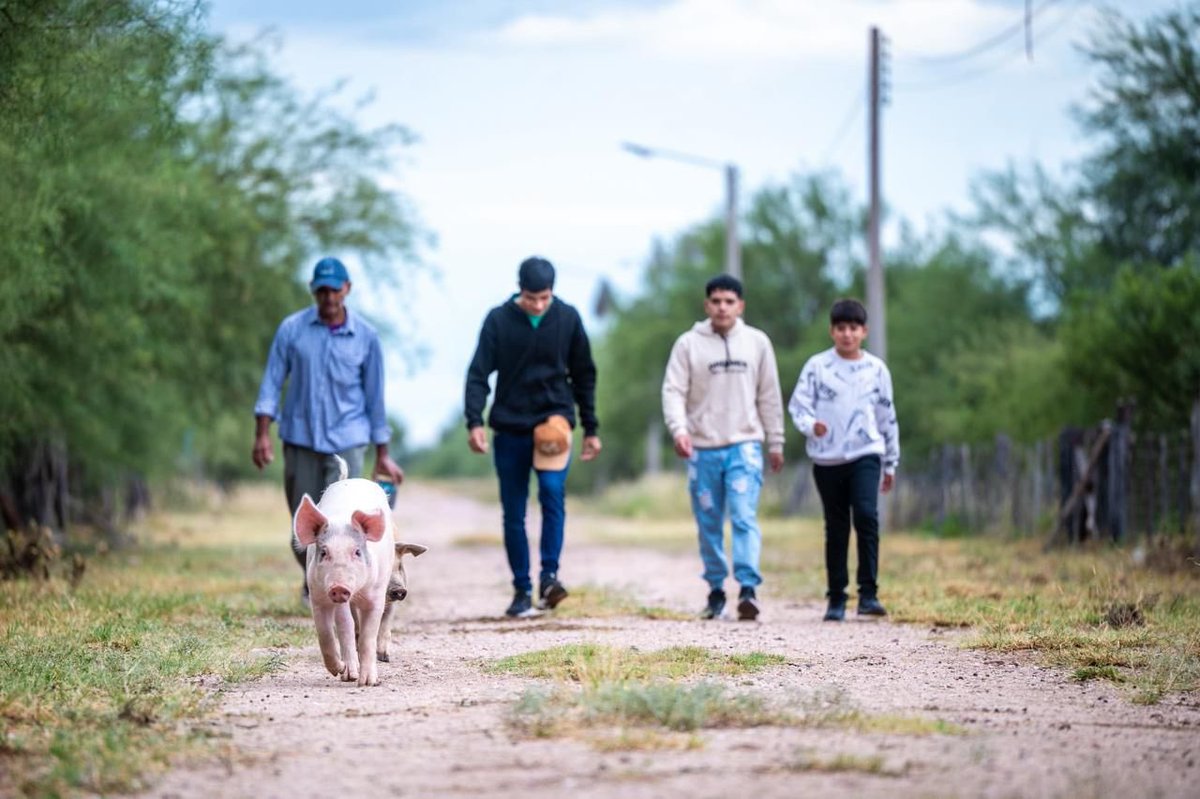 Luz Santangelo Carrizo tweet media