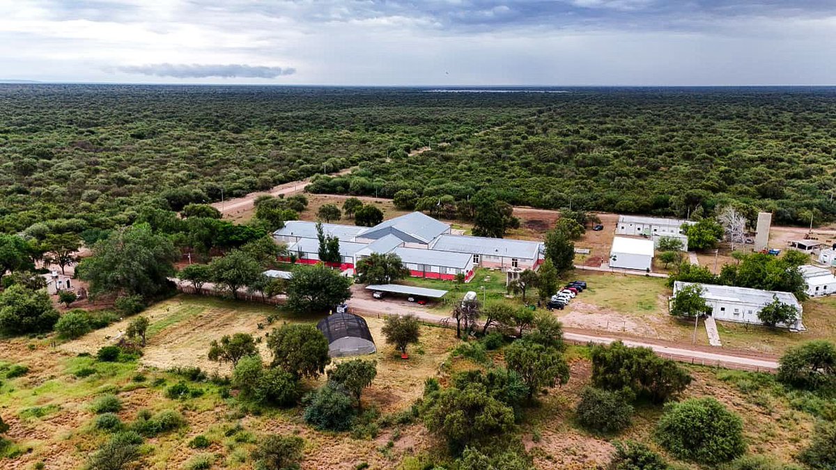 Luz Santangelo Carrizo tweet media