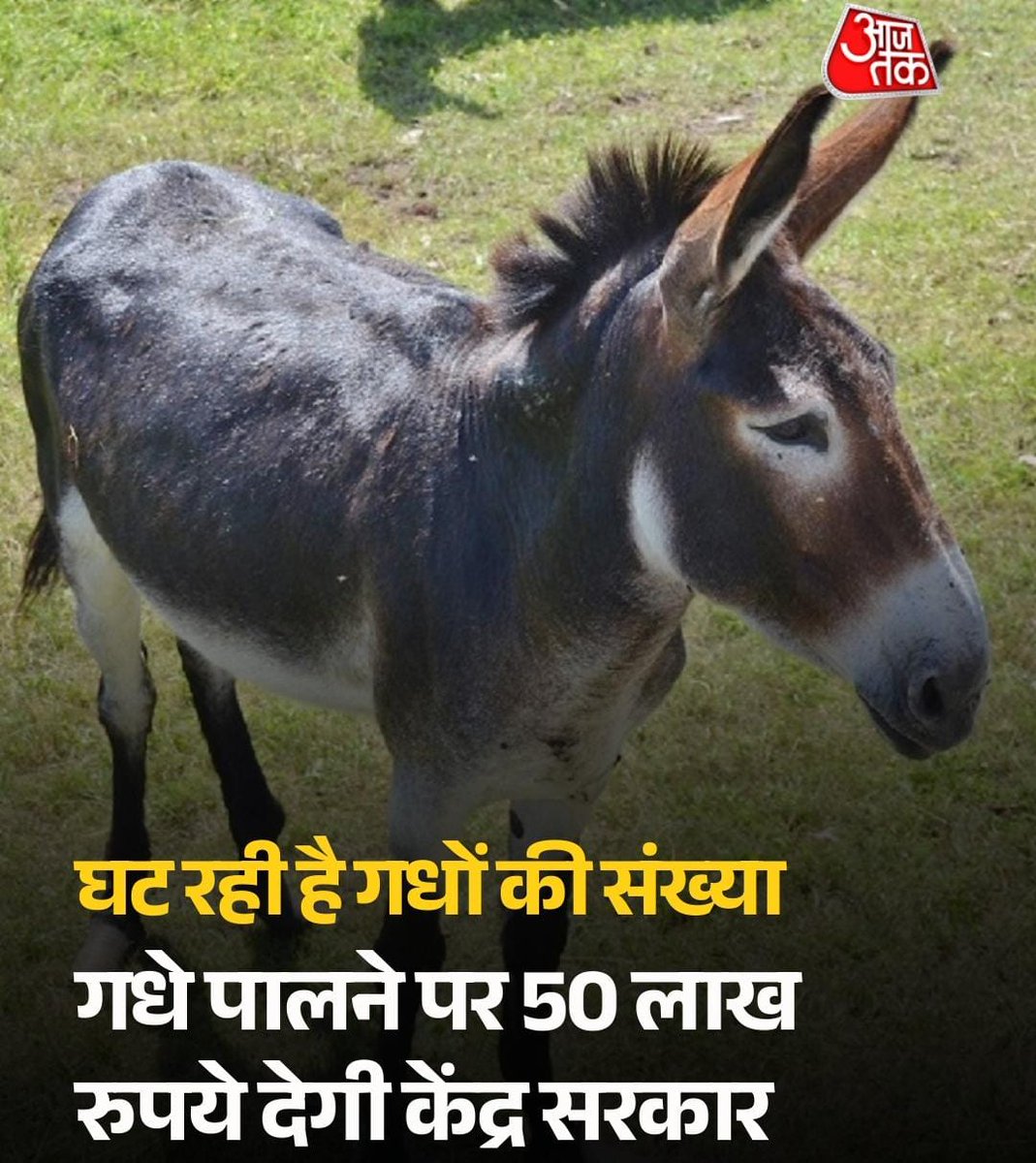 khurpenchh's tweet photo. देश में गधों की भारी कमी,

क्योंकि जो पहले पाले गए थे वो अब मंत्री सांसद विधायक बन चुके हैं। https://t.co/q64aRZYktU