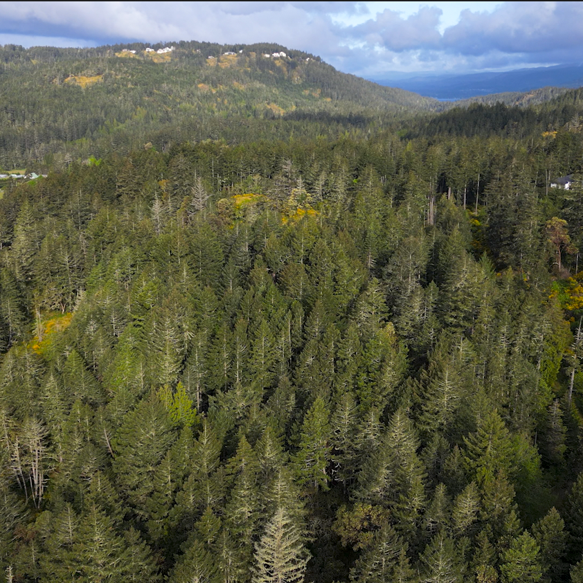 bcparksfdn's tweet photo. The acquisition was made possible through support from the Wilson 5 Foundation, the Metchosin Foundation, Environment and Climate Change Canada’s Nature Smart Climate Solutions Fund, and many dedicated community supporters.

Learn more: https://t.co/suBbaNfVQg https://t.co/Rto1OCh3v4