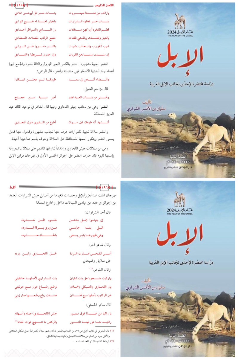 asalshriri's tweet photo. #النضو : نجيبة مشهورة النضو بالكسر البعير المهزول والناقة نضوة والجمع فيهما أنضاء وقد أنضتها الأسفار فهي منض��دة وأنض ، قال الراعي :
  وأنضاء أنحن إلى سعيد
             طروقا ثم عجلن ابتكارا

قال مزاحم العقيلي :
وتحتي من بنات العيد نضو
                    أضر بنية سير هجاج

النضو : وهي من نجائب جيش اللحاوي وفيها قال الشاعر في توحيد الملك عبدالعزيز للمملكة : 
 
      أنشهد أنه طوعك لين سواك
                 أطوع من النضوى ذلول اللحاوي

والنضو : سلالة نجيبة للشرارات عرف منها نجائب مشهورة وفحول منها فحل يسمى النضو ويتكرر اسمها للمحافظة على السلالة وتعرف باسم صاحبها أحيانا .
وهي من سلالات جيش اللحاوي وإمتداداً لتاريخها القديم حتى سلالاتها المعروفة بإسمها لليوم . 
المصدر : كتاب 📚 الإبل 👇🏻