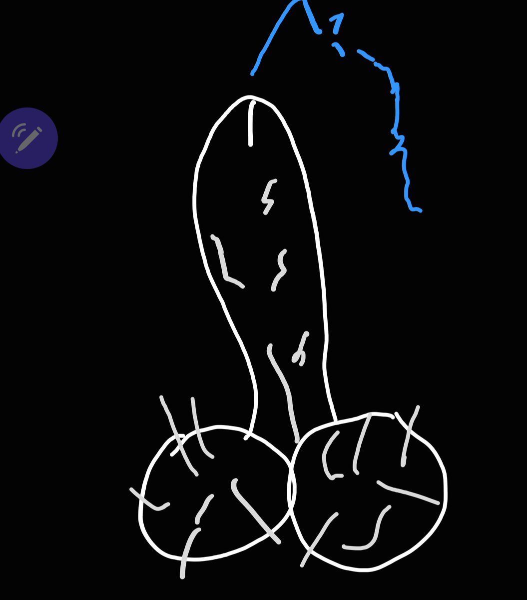 springhour tweet media