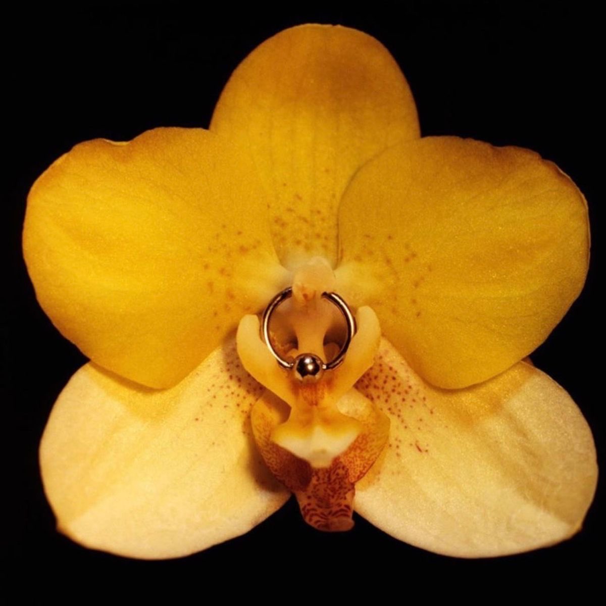 ❦ (@aldaphrodite) on Twitter photo 