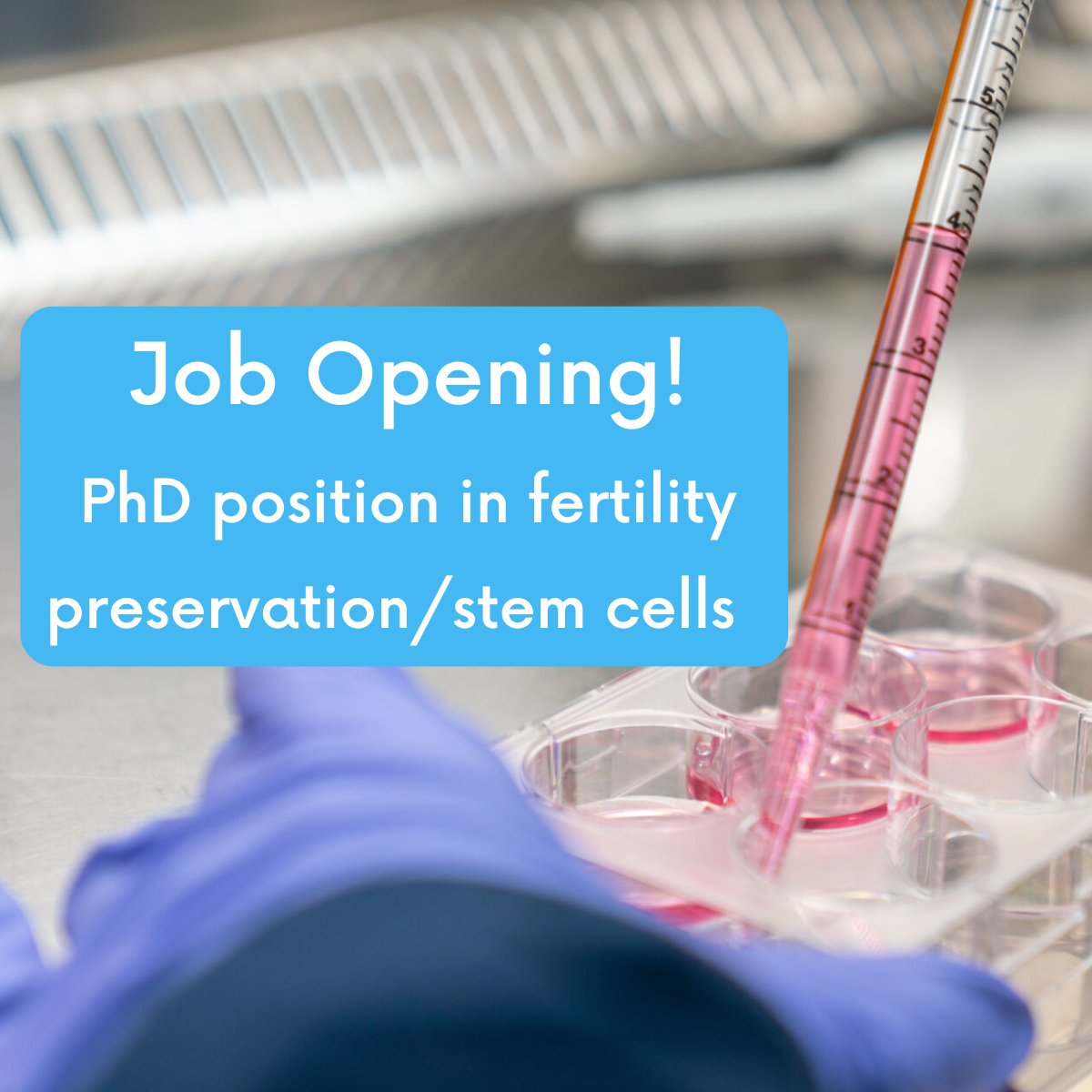 Ruth Appeltant tweet media