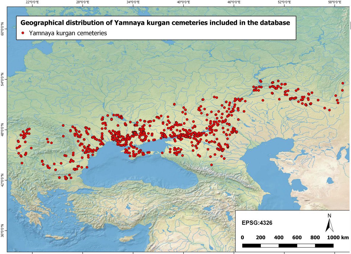 Polat 🗽🏛️ ✹ tweet media