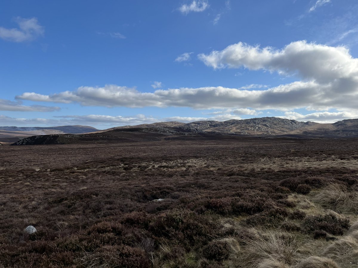 Phil Burrell tweet media