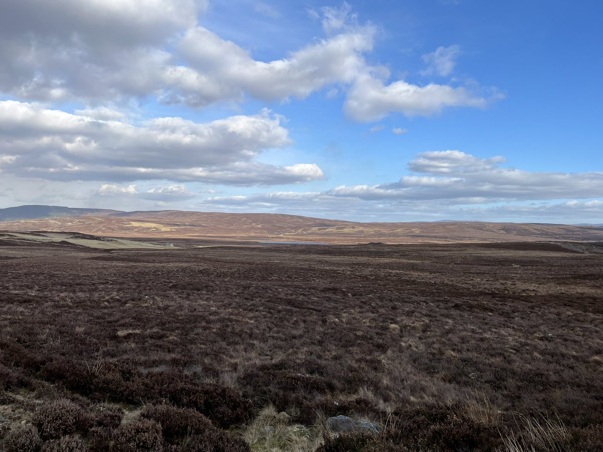 Phil Burrell tweet media