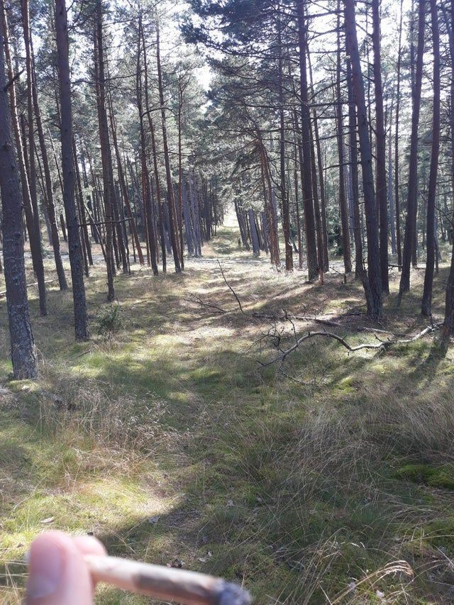 geem legends, have a great one 💨