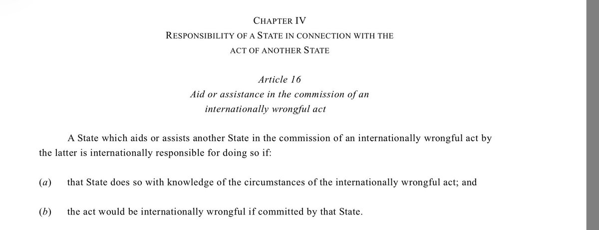 Tom Dannenbaum tweet media