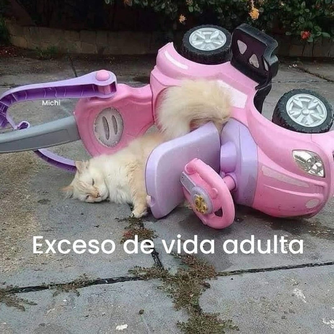 Salvador Iglesias Jr (@javisness) on Twitter photo 