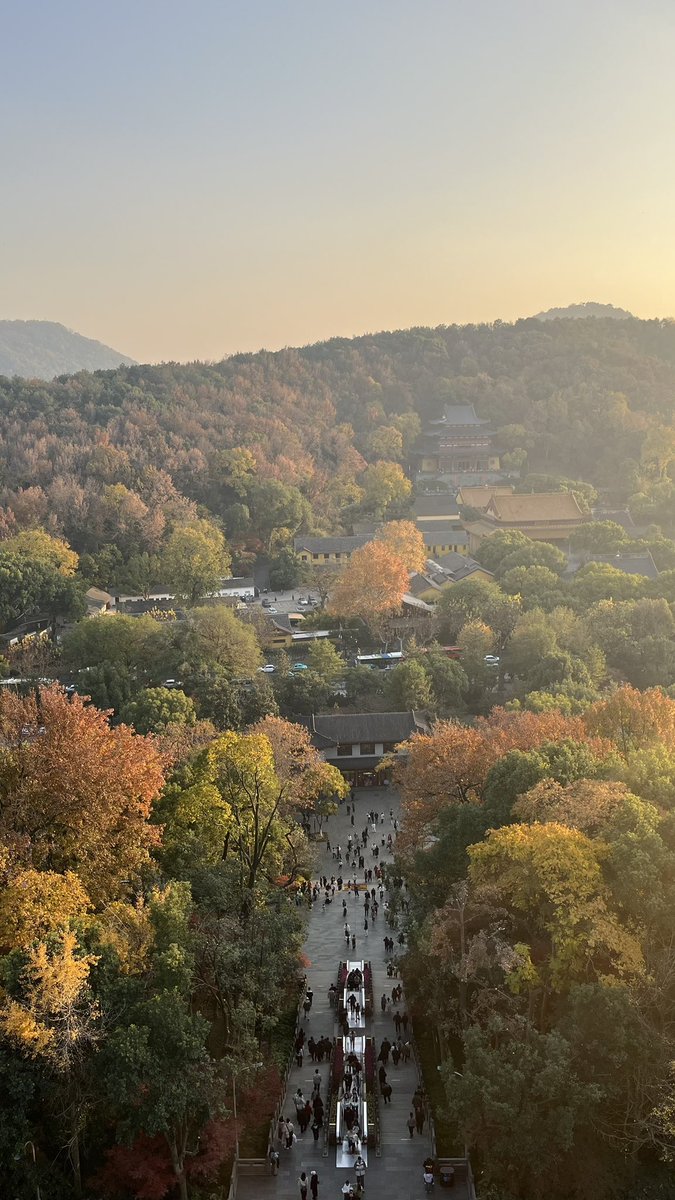 Honey 🥑🌙 tweet media