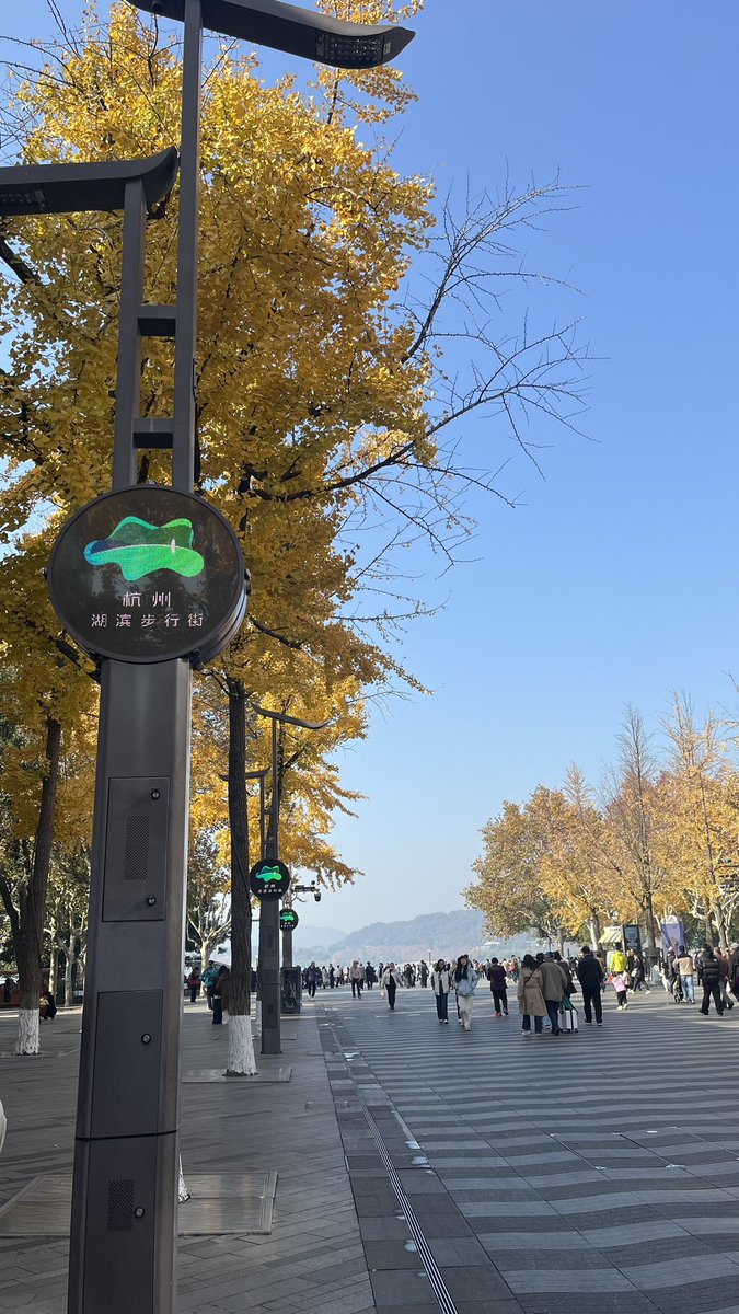 Honey 🥑🌙 tweet media