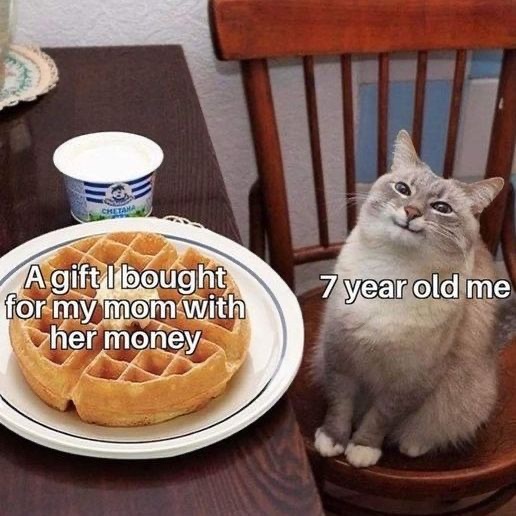 lined cats (@linedcats) on Twitter photo 