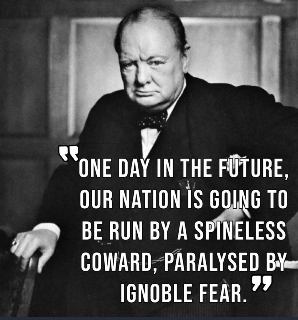 Azzurra Fox 🦊 tweet media