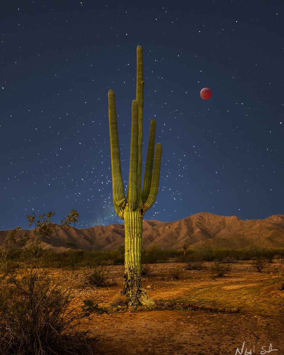 Visit Arizona tweet media